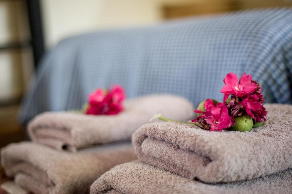 Etusis Lodge Usakos Δωμάτιο φωτογραφία